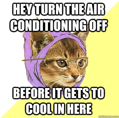 Hey turn the air conditioning off before it gets to cool in here - Hey turn the air conditioning off before it gets to cool in here  Hipster Kitty