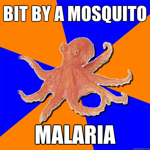 bit by a mosquito malaria  Online Diagnosis Octopus