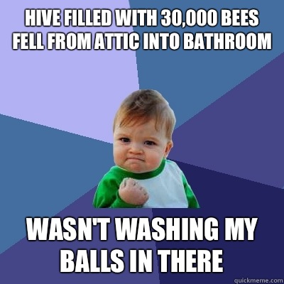 Hive filled with 30,000 bees fell from attic into bathroom Wasn't washing my balls in there  Success Kid