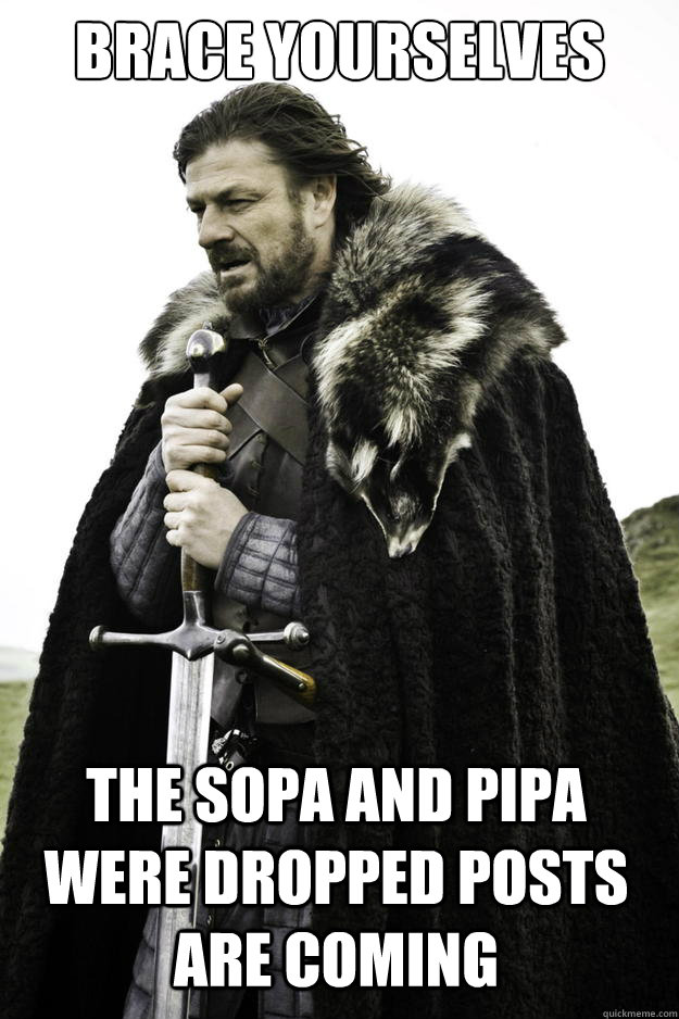 Brace Yourselves The SOPA and PIPA were dropped posts are coming  Winter is coming