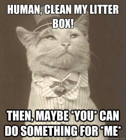 HUMAN, CLEAN MY LITTER BOX! THEN, MAYBE *YOU* CAN DO SOMETHING FOR *ME*  Aristocat