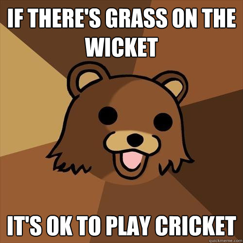 If there's grass on the wicket it's ok to play cricket  Pedobear