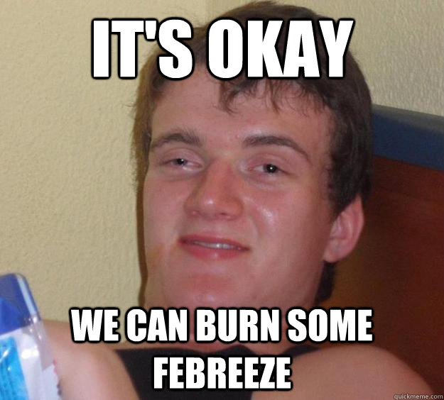 It's okay We can burn some febreeze  10 Guy