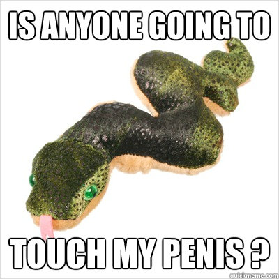 is anyone going to touch my penis ?  