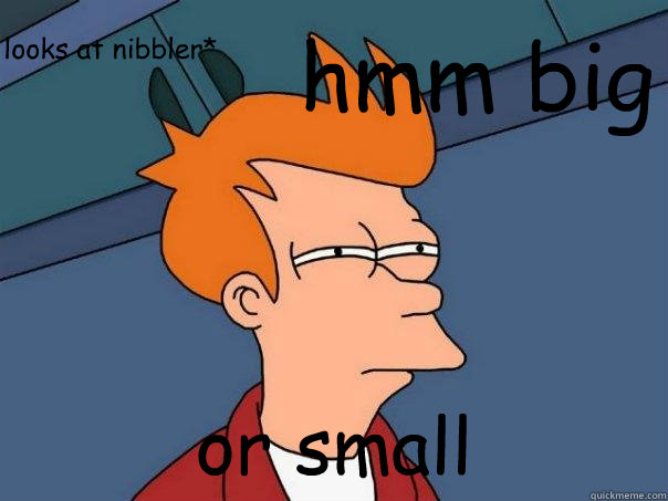 hmm big  or small looks at nibbler*   Futurama Fry