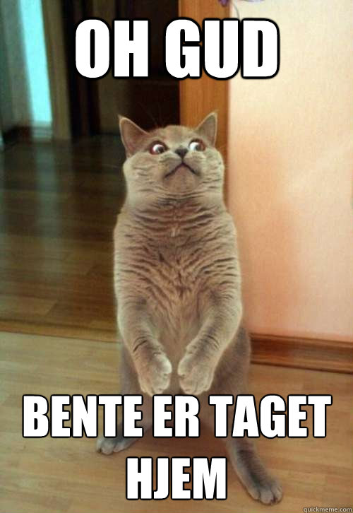 OH GUD Bente er taget hjem  Horrorcat