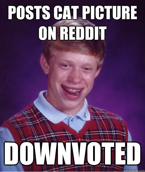 POSTS CAT PICTURE ON REDDIT DOWNVOTED  Bad Luck Brian