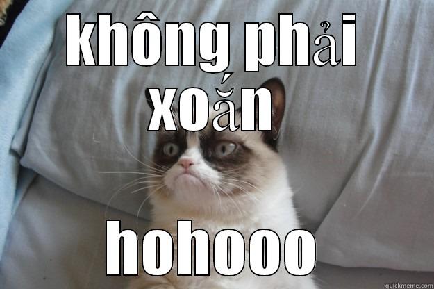 KHÔNG PHẢI XOẮN HOHOOO Grumpy Cat