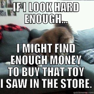 IF I LOOK HARD ENOUGH... I MIGHT FIND ENOUGH MONEY TO BUY THAT TOY I SAW IN THE STORE. Misc