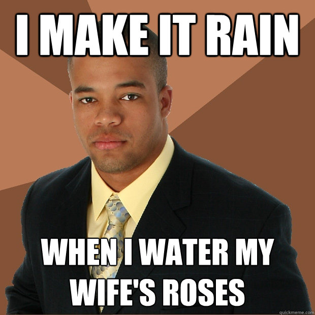 I make it rain when i water my wife's roses  Successful Black Man