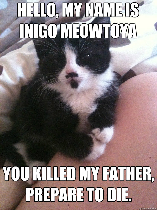 HELLO, MY name is inigo meowtoya you killed my father, prepare to die. - HELLO, MY name is inigo meowtoya you killed my father, prepare to die.  Diabolical Kitten