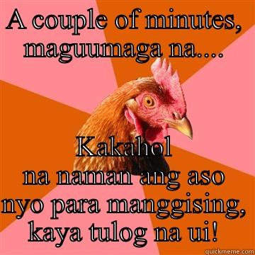 A COUPLE OF MINUTES, MAGUUMAGA NA.... KAKAHOL NA NAMAN ANG ASO NYO PARA MANGGISING, KAYA TULOG NA UI! Anti-Joke Chicken