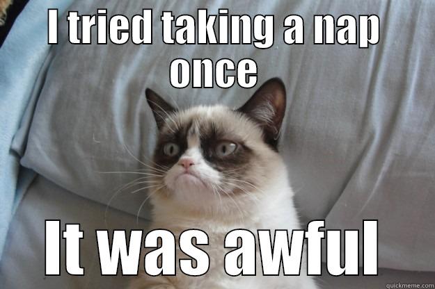 I TRIED TAKING A NAP ONCE IT WAS AWFUL Grumpy Cat