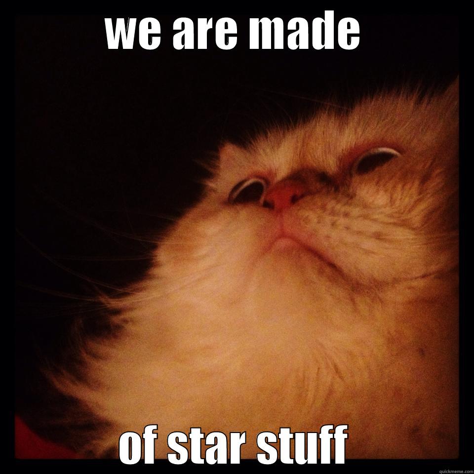 WE ARE MADE OF STAR STUFF Misc