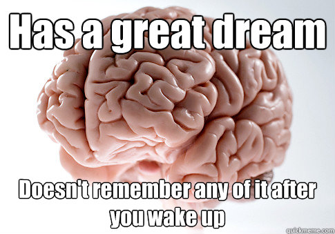 Has a great dream Doesn't remember any of it after you wake up  Scumbag Brain