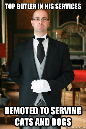 Top butler in his services Demoted to serving cats and dogs  Poor Butler