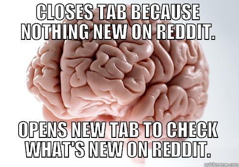 CLOSES TAB BECAUSE NOTHING NEW ON REDDIT. OPENS NEW TAB TO CHECK WHAT'S NEW ON REDDIT. Scumbag Brain