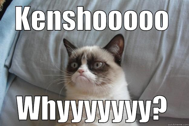 KENSHOOOOO WHYYYYYYY? Grumpy Cat