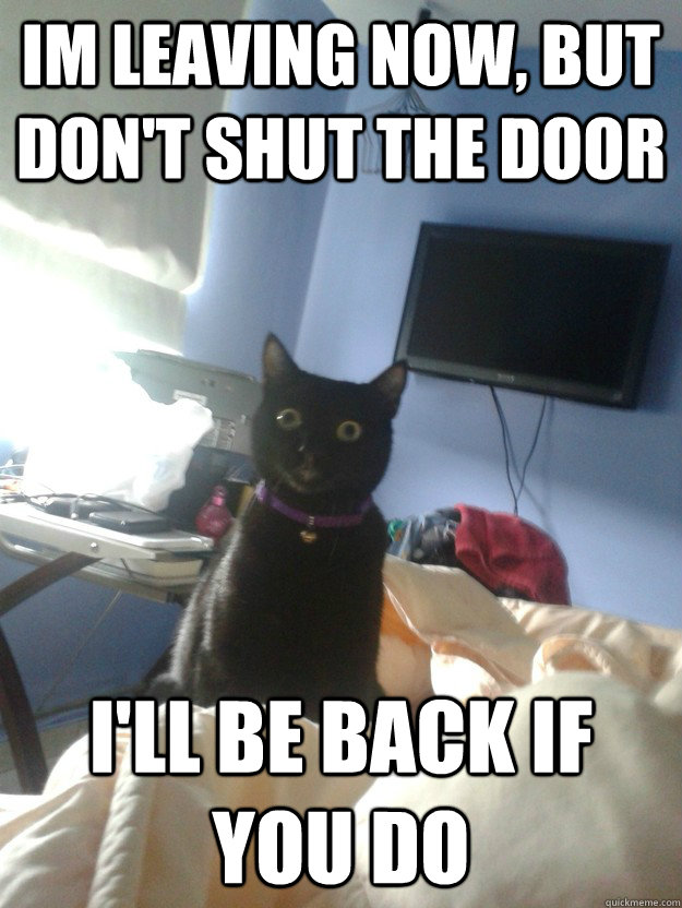 Im leaving now, but don't shut the door I'll be back if you do  overly attached cat