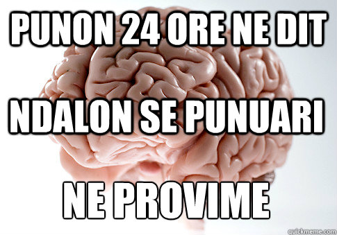 PUnon 24 ore ne dit Ndalon se punuari Ne provime  Scumbag Brain