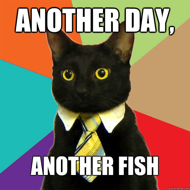 another day, another fish  Business Cat