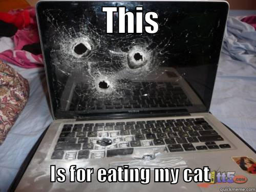 Smashed Laptop -                   THIS                                    IS FOR EATING MY CAT             Misc