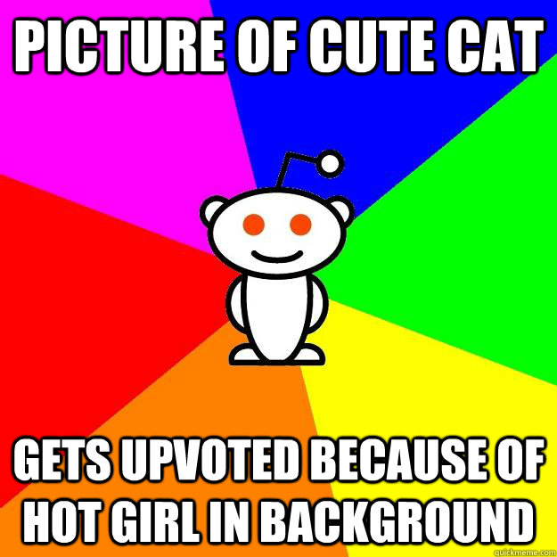 Picture of Cute Cat  Gets Upvoted because of hot girl in background  Reddit Alien