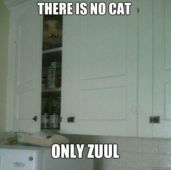 There is no Cat Only Zuul - There is no Cat Only Zuul  Misc