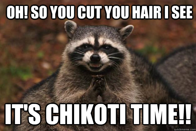 OH! so you cut you hair i see it's chikoti time!!  Evil Plotting Raccoon