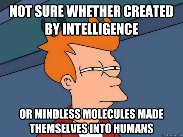 Not sure whether created by intelligence Or mindless molecules made themselves into humans - Not sure whether created by intelligence Or mindless molecules made themselves into humans  Futurama Fry