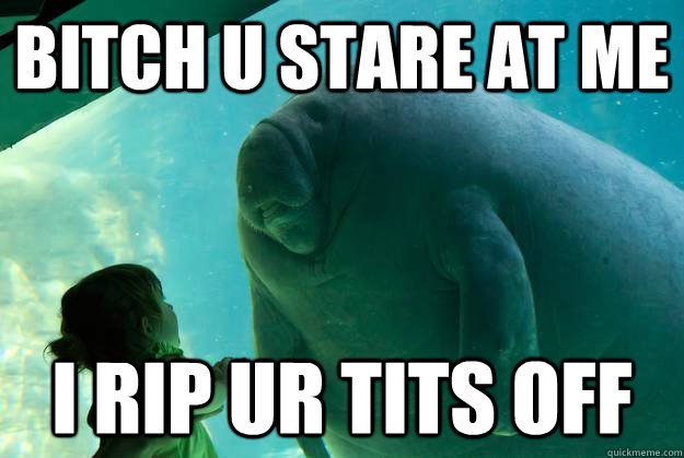 Bitch u stare at me  i rip ur tits off - Bitch u stare at me  i rip ur tits off  Overlord Manatee