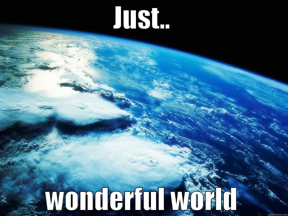 JUST.. WONDERFUL WORLD Misc