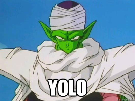 yolo - yolo  piccolo yolo