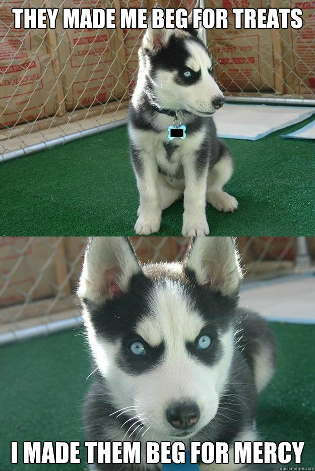 They made me beg for treats i made them beg for mercy - They made me beg for treats i made them beg for mercy  Insanity puppy