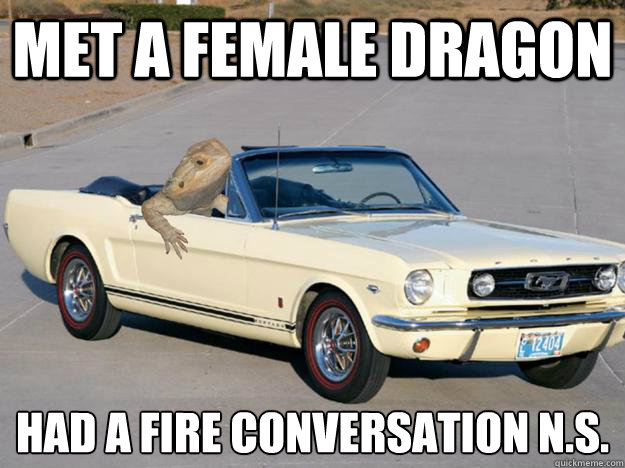 met a female dragon had a fire conversation n.s.
  Pickup Dragon