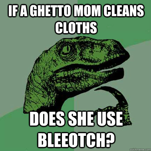 If a ghetto mom cleans cloths Does she use bleeotch?  Philosoraptor