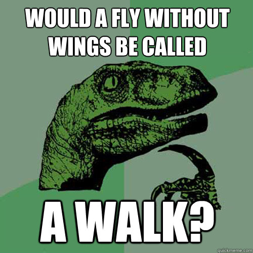 Would a fly without wings be called a walk? - Would a fly without wings be called a walk?  Philosoraptor