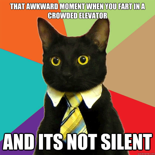 That awkward moment when you fart in A Crowded elevator and its not silent   Business Cat