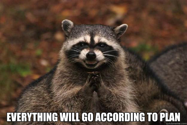  everything will go according to plan   Evil Plotting Raccoon