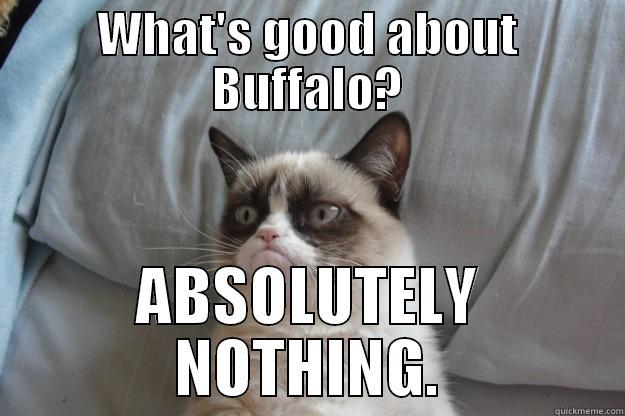 WHAT'S GOOD ABOUT BUFFALO? ABSOLUTELY NOTHING. Grumpy Cat