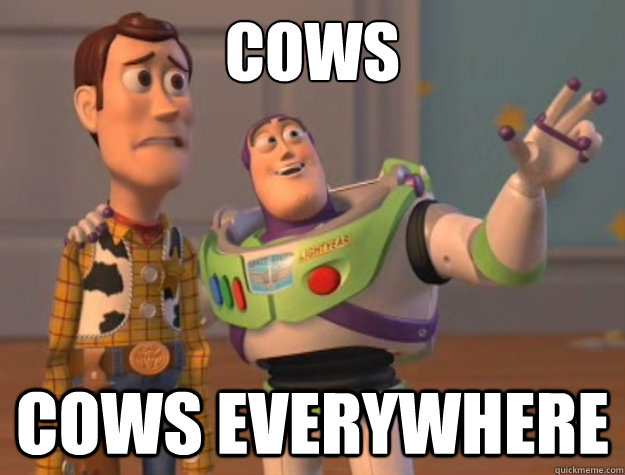 Cows cows everywhere  Buzz Lightyear