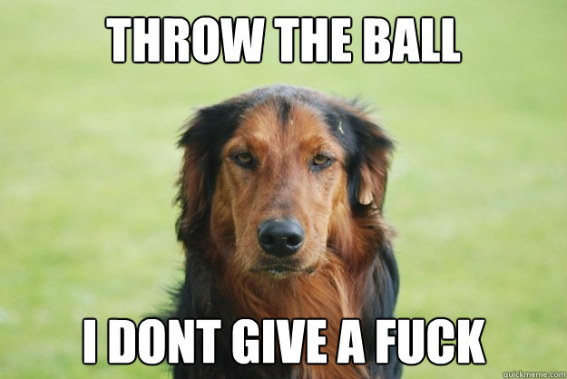 Throw the ball I dont give a fuck  