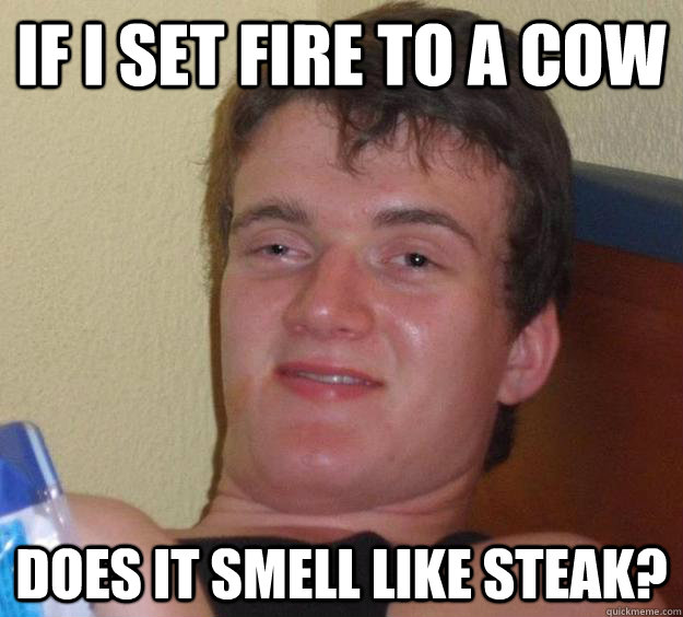 If I set fire to a cow does it smell like steak?  10 Guy