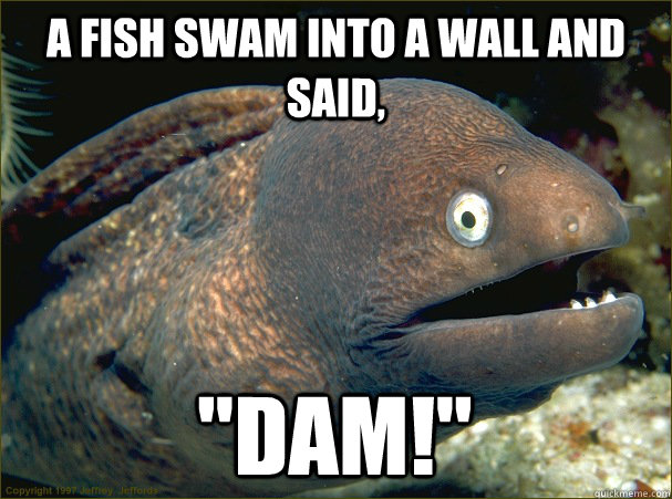 A fish swam into a wall and said, 