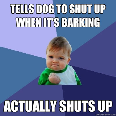 Tells dog to shut up when it's barking  actually shuts up  Success Kid