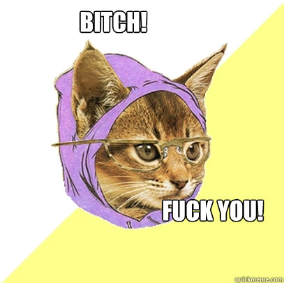 bitch! Fuck you!  Hipster Kitty