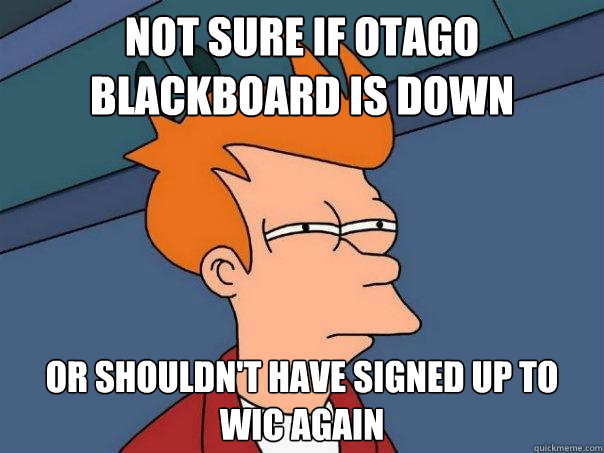 Not sure if otago blackboard is down or shouldn't have signed up to wic again - Not sure if otago blackboard is down or shouldn't have signed up to wic again  Futurama Fry