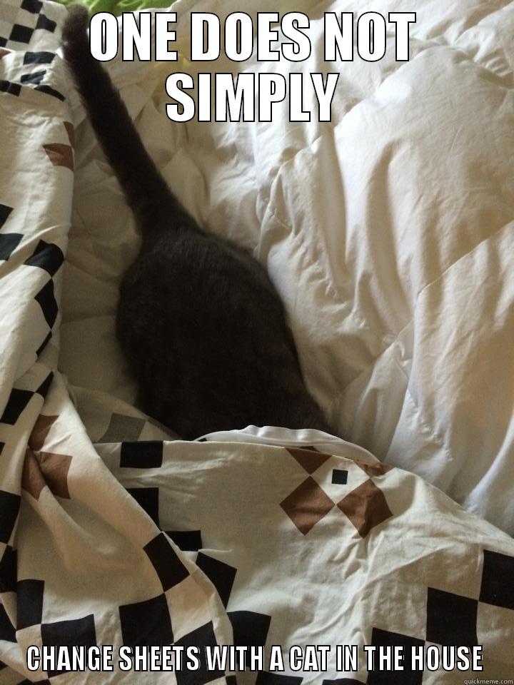 ONE DOES NOT SIMPLY CHANGE SHEETS WITH A CAT IN THE HOUSE Misc