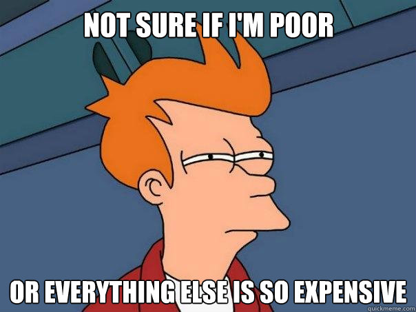 not sure if i'm poor Or everything else is so expensive  Futurama Fry