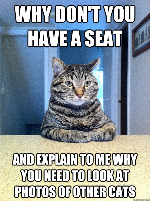 Why don't you have a seat and explain to me why you need to look at photos of other cats - Why don't you have a seat and explain to me why you need to look at photos of other cats  Chris Hansen Cat